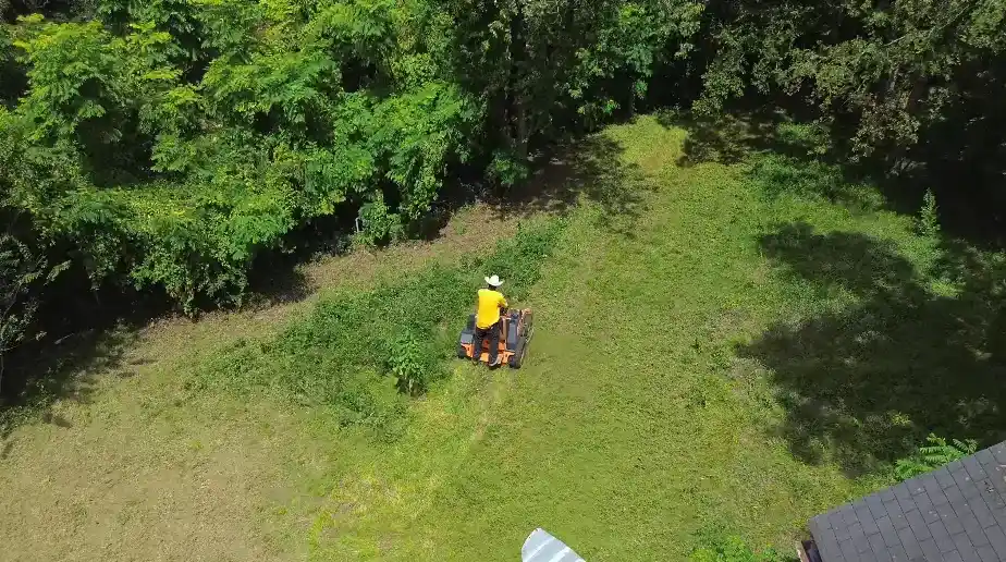 Aerial view of green residential lawns in a Lafayette, Louisiana neighborhood