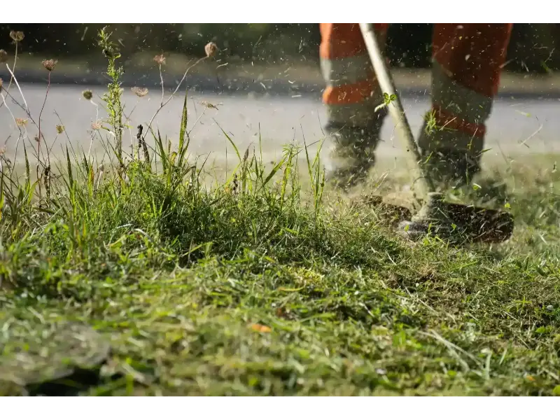 Close-up of professional grass edging and trimming along a Lafayette property line