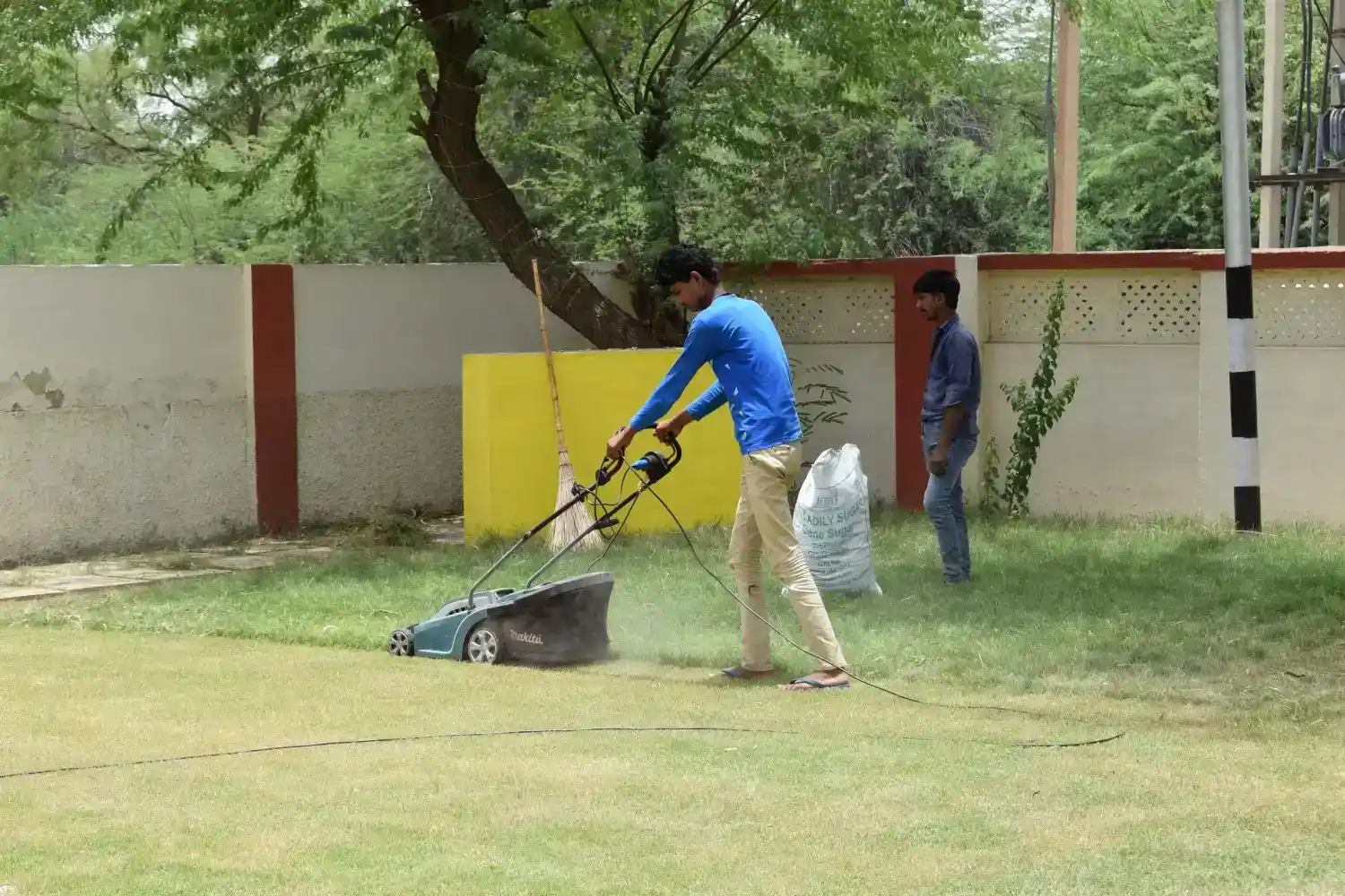 Professional mowing a St. Augustine grass lawn in Lafayette, LA