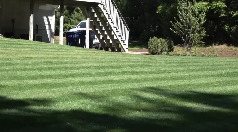 A completed weekly mow, ready for the week