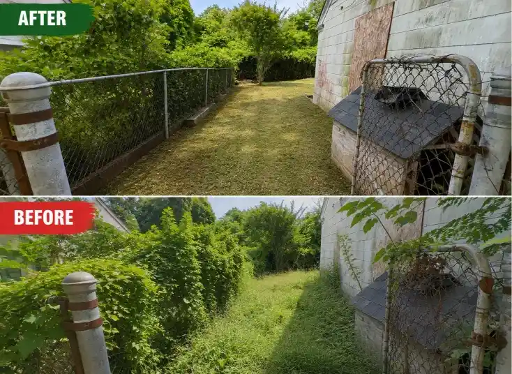 Before and after comparison of a Lafayette backyard, overgrown before service and mowed after regular lawn care