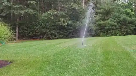 Sprinkler irrigation watering a lawn during a Lafayette, Louisiana summer