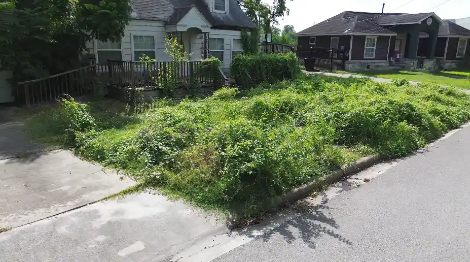 Lawn before professional lawn care service in Lafayette, LA