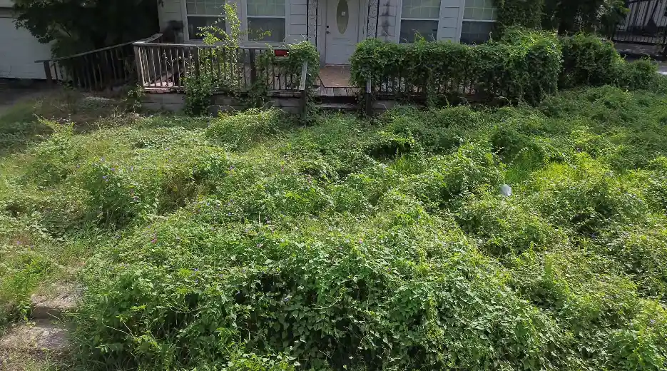 Lawn before professional lawn care service in Lafayette, LA